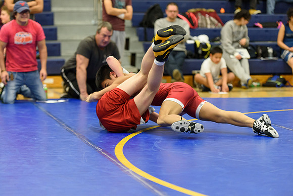 Wrestling DHS 011516-3-2616