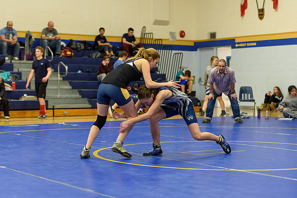 Wrestling DHS 011516-3-4950