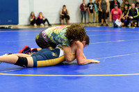 Wrestling DHS 011516-3-2136