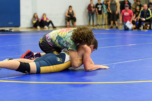 Wrestling DHS 011516-3-2136