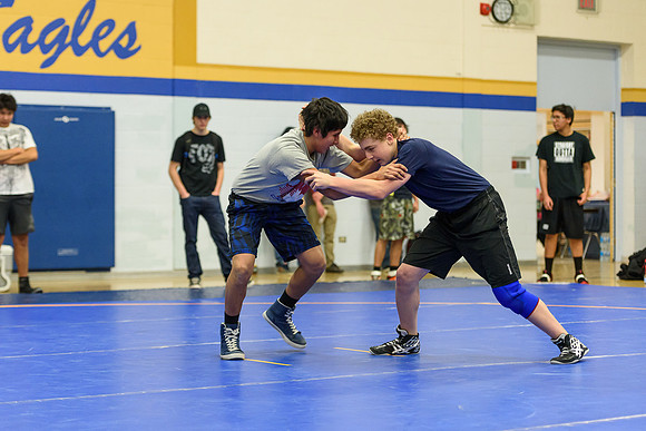 Wrestling DHS 011516-3-3470