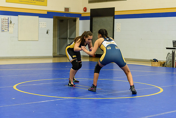 Wrestling DHS 011516-3-5719