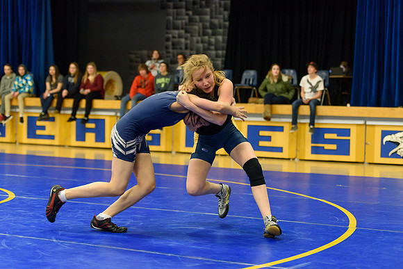 Wrestling DHS 011516-3-3991