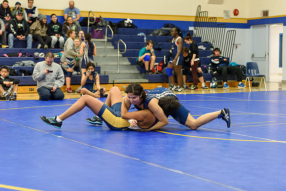 Wrestling DHS 011516-3-2335