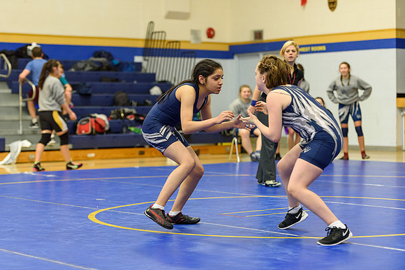 Wrestling DHS 011516-3-3163