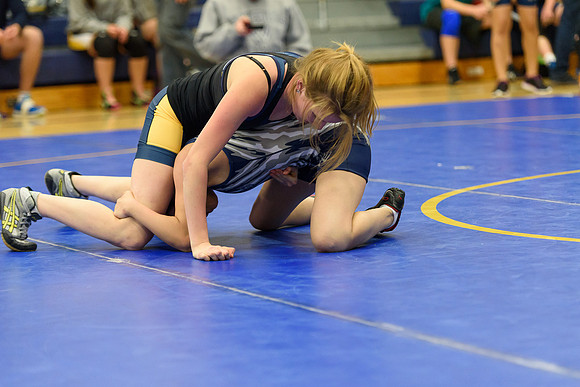 Wrestling DHS 011516-3-4095