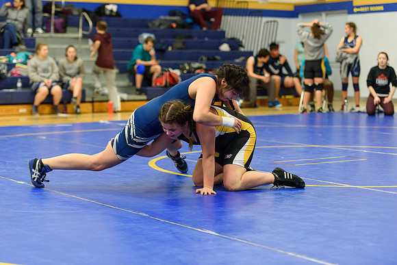 Wrestling DHS 011516-3-3443