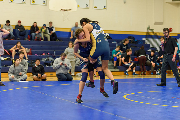 Wrestling DHS 011516-3-2247