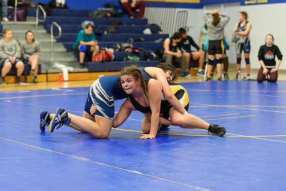 Wrestling DHS 011516-3-3442