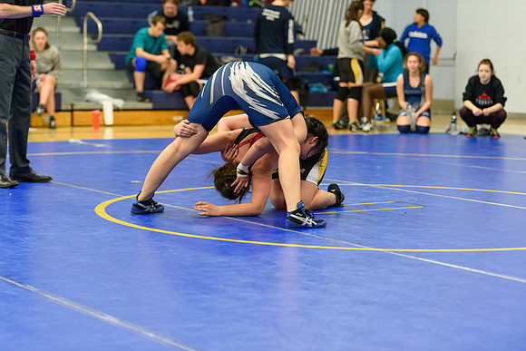 Wrestling DHS 011516-3-3476