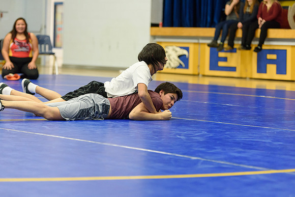 Wrestling DHS 011516-3-3684