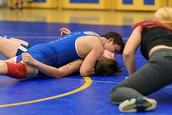 Wrestling DHS 011516-3-3080