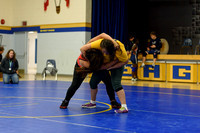 Wrestling DHS 011516-3-4428