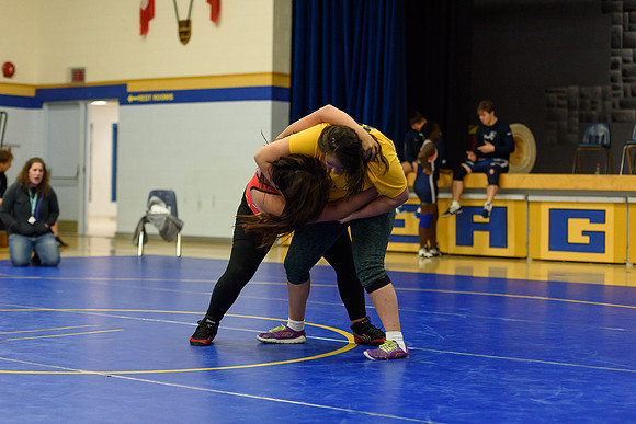 Wrestling DHS 011516-3-4428