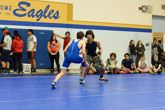 Wrestling DHS 011516-3-4174