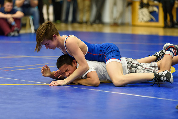 Wrestling DHS 011516-3-2578