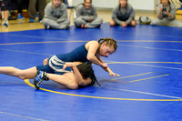 Wrestling DHS 011516-3-2105