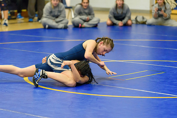 Wrestling DHS 011516-3-2105