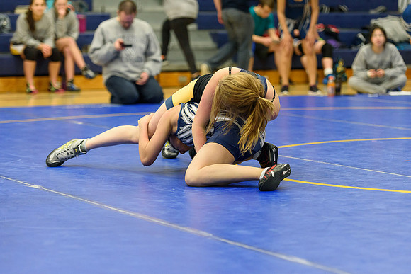 Wrestling DHS 011516-3-4099