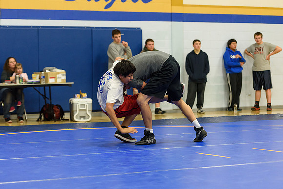 Wrestling DHS 011516-3-2896