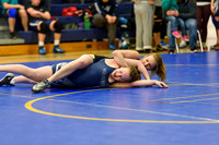 Wrestling DHS 011516-3-2204
