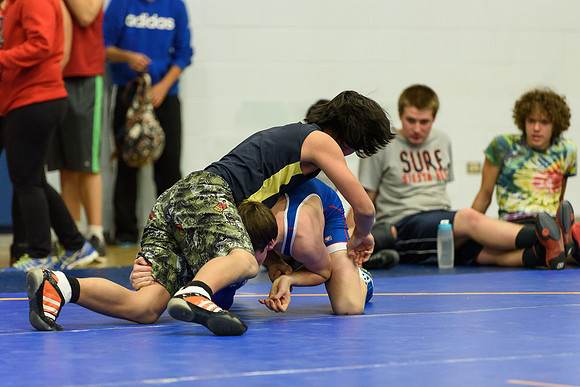 Wrestling DHS 011516-3-4184