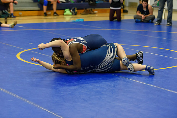 Wrestling DHS 011516-3-4372