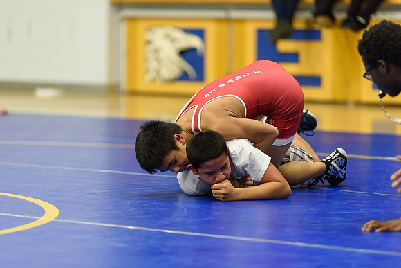 Wrestling DHS 011516-3-3590