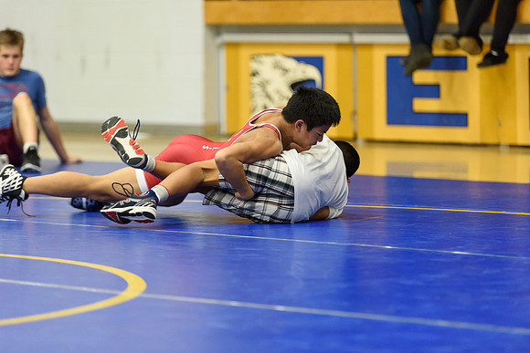 Wrestling DHS 011516-3-3581