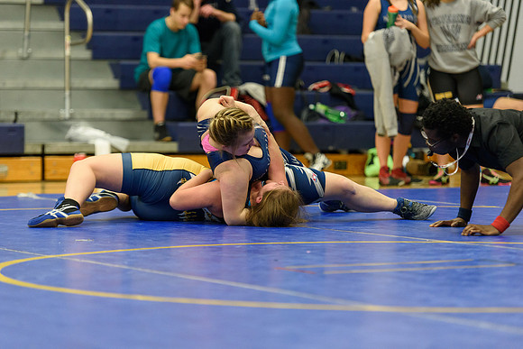 Wrestling DHS 011516-3-3523
