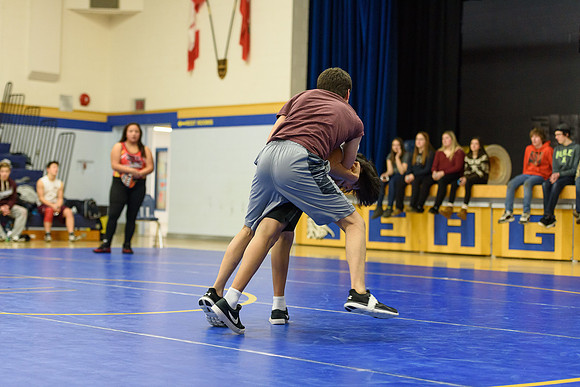 Wrestling DHS 011516-3-3637