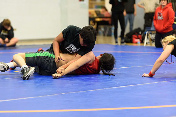 Wrestling DHS 011516-3-3701
