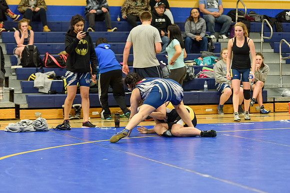 Wrestling DHS 011516-3-3405