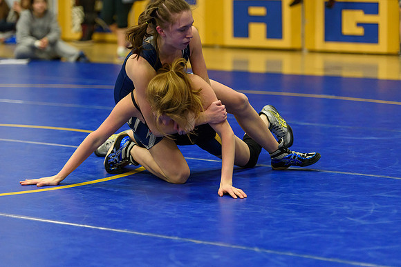 Wrestling DHS 011516-3-4979