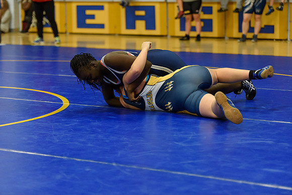 Wrestling DHS 011516-3-5210