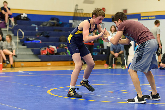 Wrestling DHS 011516-3-2780