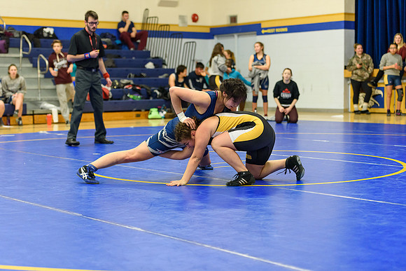 Wrestling DHS 011516-3-3440