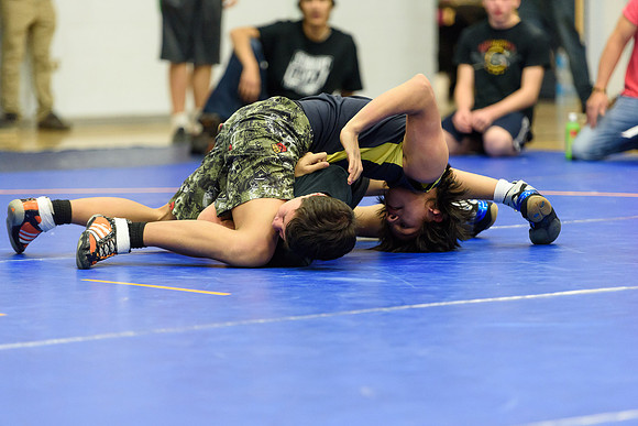 Wrestling DHS 011516-3-3416