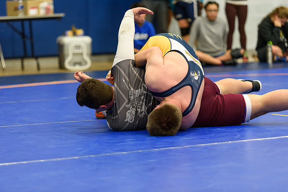 Wrestling DHS 011516-3-3126