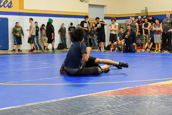 Wrestling DHS 011516-3-3602