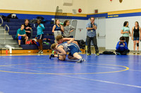Wrestling DHS 011516-3-3518