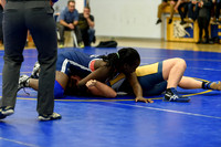 Wrestling DHS 011516-3-2517