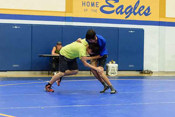 Wrestling DHS 011516-3-4070