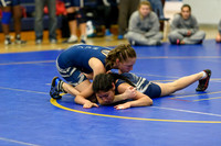 Wrestling DHS 011516-3-2106