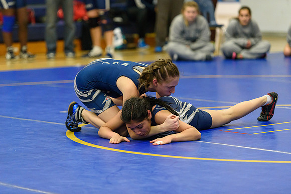 Wrestling DHS 011516-3-2106