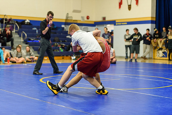 Wrestling DHS 011516-3-2669