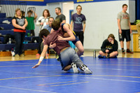 Wrestling DHS 011516-3-2793