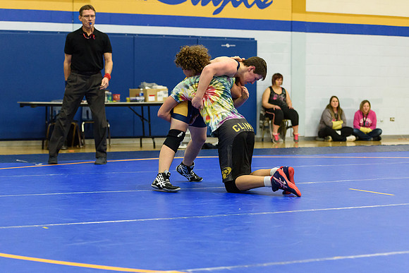 Wrestling DHS 011516-3-2212