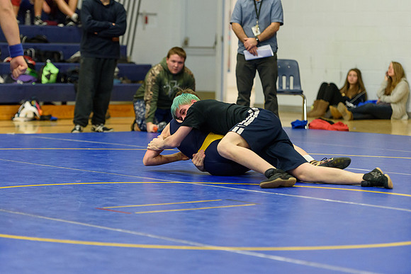 Wrestling DHS 011516-3-5302