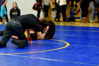 Wrestling DHS 011516-3-2733